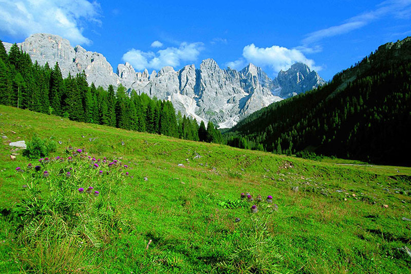 Vacanza Sulle Dolomiti Baita Segantini Agritur Darial